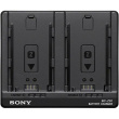 Sony USB PD Compatible Large Capacity NP-FZ100 Battery Charger | BC-ZD1 BCZD1B.CE7