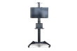 Digitus TV Cart 1xLCD max. 70