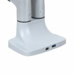 ART ART Desk holder for 2 LCD monitors 17-35''