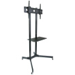 Techly Mobile stand LCD / LED 30-65cali, 60kg, adjustable