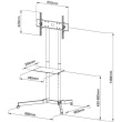 Techly Mobile stand LCD / LED 30-65cali, 60kg, adjustable