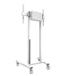 Neomounts Floor stand | FL55-875WH1 TV trolley | Adjustable Height | 55-100 