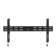Neomounts Wall mount | WL30S-850BL18 TV mount wall | Adjustable Height | 43-86 