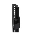 Neomounts Wall mount | WL30S-850BL18 TV mount wall | Adjustable Height | 43-86 