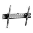 Gembird | Wall mount | Tilt | 37-70 