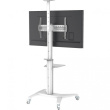 Techly Mobile TV stand 32-70 inches 70kg white