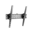 Gembird | Wall mount | WM-55T-02 | 32-55 