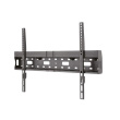 Neomounts LFD-W1640MP TV mount wall 37-75