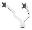 Neomounts DS70-250WH2 Monitor arm 17-32