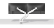 Neomounts DS70-250WH2 Monitor arm 17-32