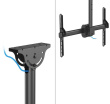 Neomounts CL35-440BL16L Mount TV/LCD 37-70'' 50kg