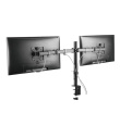 Techly Desk monitor mount 13-32 inch 8kg