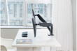 Techly Desk monitor mount 17-3 2cali 9kg