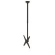 Neomounts FPMA-C340BLACK Monitor/TV mount ceiling 32-75