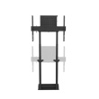 Neomounts Electric wall mount up to 100 inches WL55-875BL1 55-100cale 110kg 100x100-800x600 h:98-163cm D:17,2cm 5 lat GW