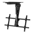 Maclean electric TV mount, ceiling mount, Tuya support, max. VESA 800x400, for TV 43-86