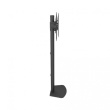 Techly Floor stand 32-55 inches 40kg screwed