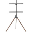 Techly ICA-TR18SAM TV mount 165.1 cm (65