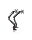 ICY BOX IB-MS314-T 81.3 cm (32