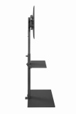 Gembird TVS-55T-02 TV floor stand, 32