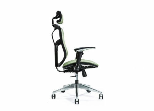 Ergonomic office chair ERGO 500 green