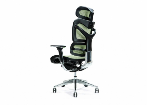 Ergonomic office chair ERGO 700 green