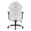 Diablo X-GAMER 2.0 Normal Gaming Chair Black, White