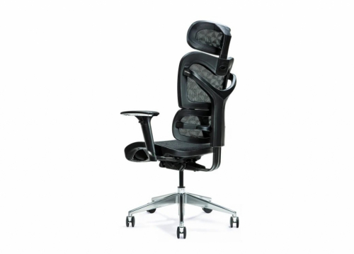 Ergonomic office chair ERGO 600 black