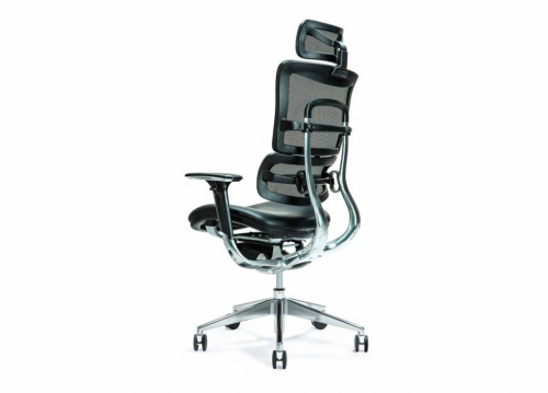 Ergonomic office chair ERGO 800 black