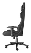 Mängutool  GENESIS NITRO 550 G2 GREY