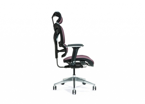 Ergonomic office chair ERGO 600 plum