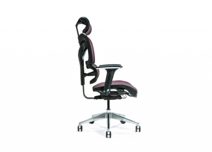 Ergonomic office chair ERGO 600 plum