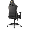 COUGAR Gaming-Stuhl Armor One V2 Gold F, PVC/Stoff, Schwarz