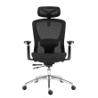 Expert 5.3 Must Mesh Swivel Chair