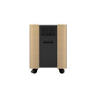 Epson Mobile A/V Cabinet | ELPCS01