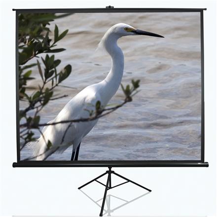 Elite Screens | Tripod Series | T120NWV1 | Diagonal 120 