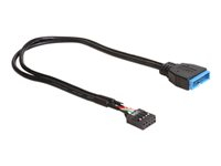 DeLOCK - USB internal cable - 9 pin USB header (F) to 19 pin USB 3.0 header (M) - 30 cm - black 