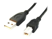 GEMBIRD CCP-USB2-AMBM-6 Gembird USB 2.0 A- B 1,8m cable black color