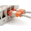 Digitus | Color clips for Patch cable | A-CC-O | Orange A-CC-O