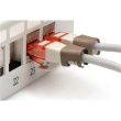 Digitus | Color clips for Patch cable | A-CC-BR | Brown A-CC-BR