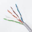 Qoltec Patchcord UTP cable CAT5E, 305m