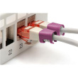 Digitus | Color clips for Patch cable | A-CC-MG | Magenta A-CC-MG