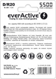 Rechargeable batteries everActive R20/D Ni-MH 5500 mAh ready to use