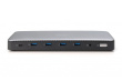 Digitus USB-C docking station, 13-port