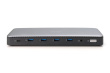 Digitus USB-C docking station, 13-port