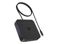 ICY BOX IB-DK4090-C 12-in-1 USB Type-C Dock with PD up to 100W