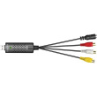 Logilink | USB 2.0 A/V grabber, USB-A/M to 3x RCA + Mini-DIN 5/F, Windows 11 | VG0030A VG0030A