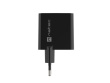 Natec RiberaGAN USB 65W wall charger 914449