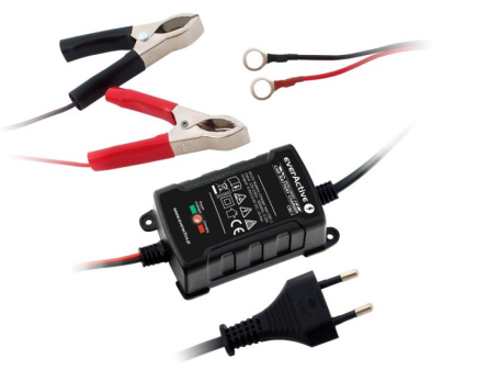 Everactive CBC-1 vehicle battery charger 6-12 V Black
