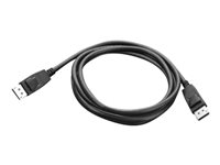 LENOVO DisplayPort to DisplayPort Cable